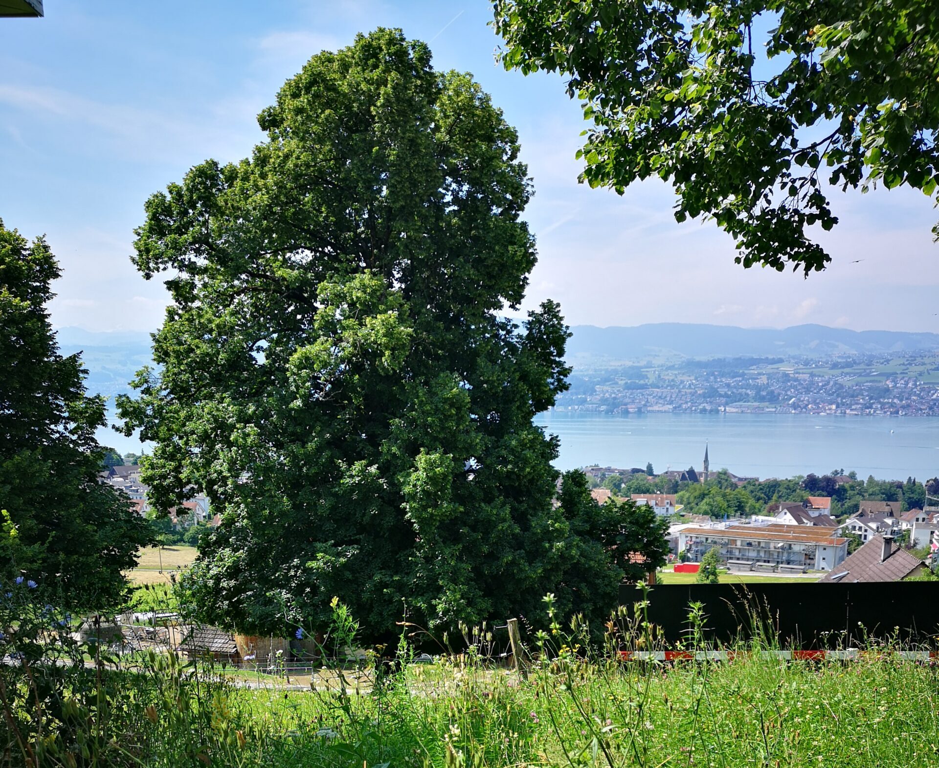 View of Lake Zurich from hotel Boldern during the World Ethic Forum Firekeeper Process. Credit: Martin A. Ciesielski