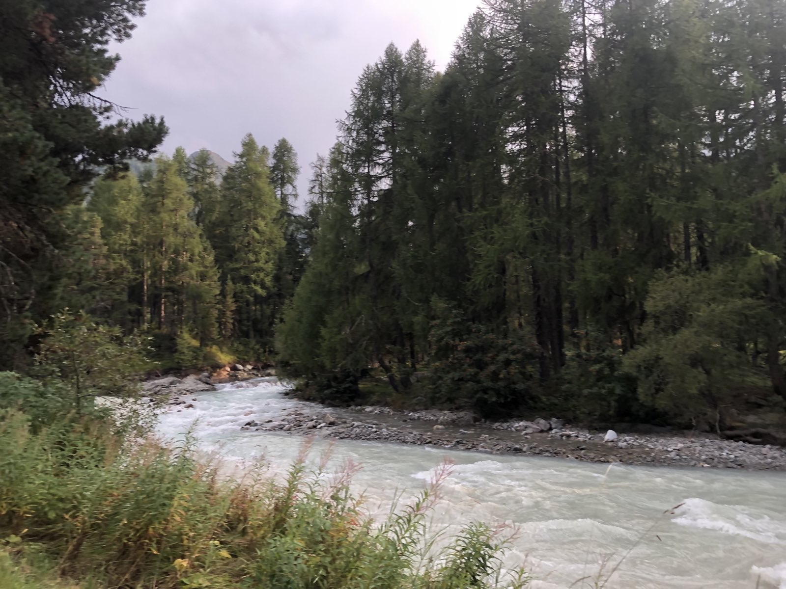 World Ethic Forum Firekeeper Process 2024.