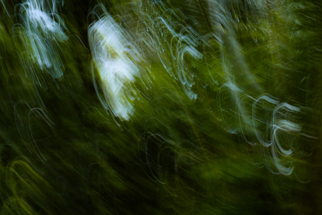 Between Elements and Screens: Practising Kinship in a Digital Field